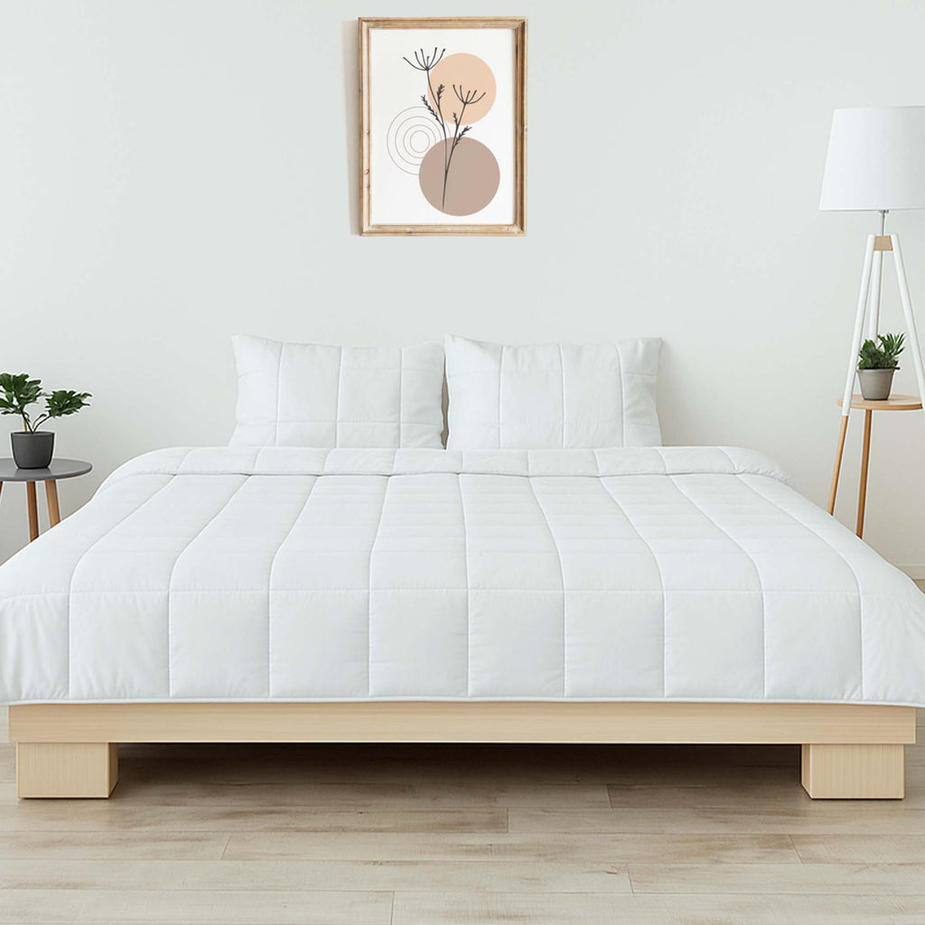 White comforter on a bed in a bedroom with a plant and lamp in the background.
