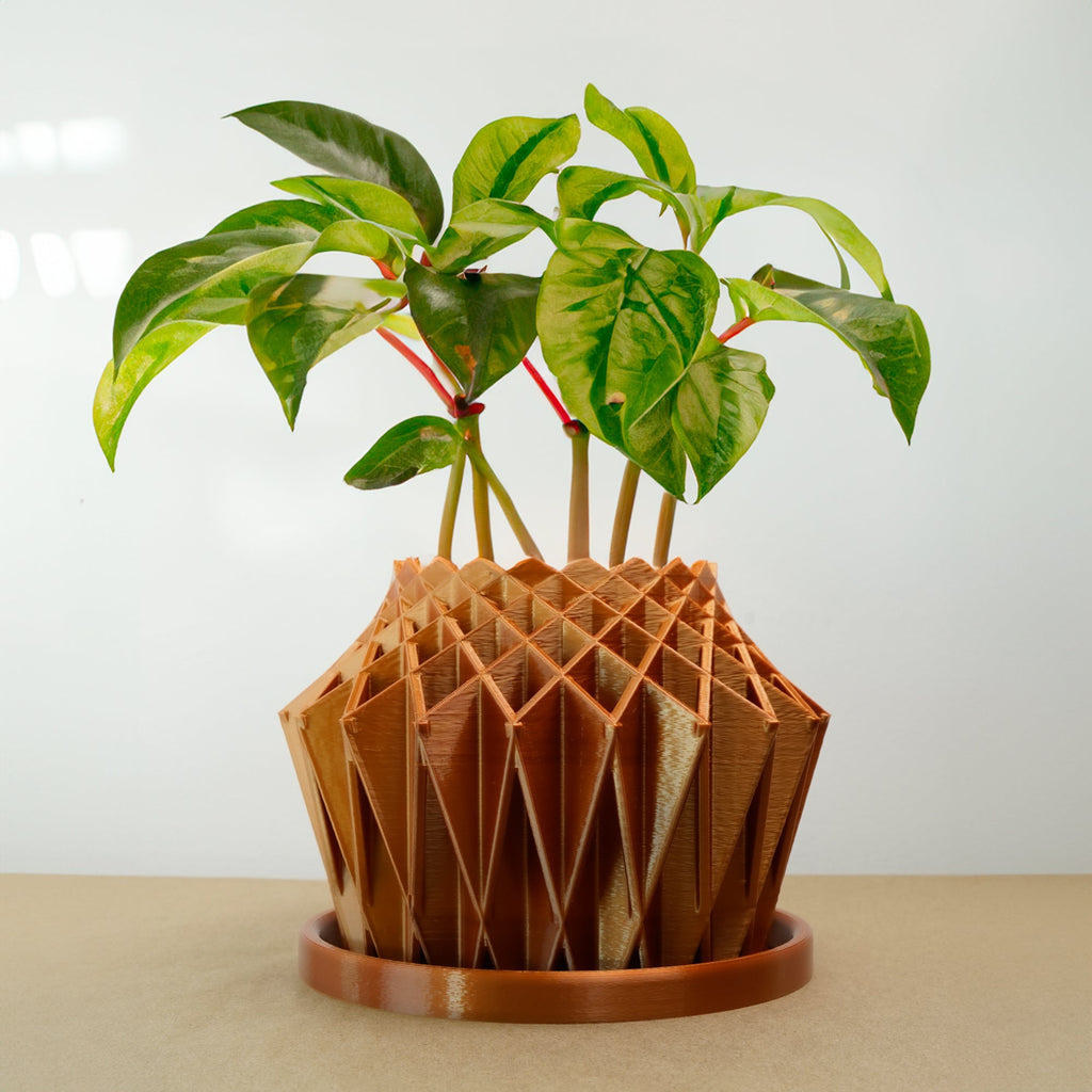 Plants in a geometric 3D printed pot on a plain background