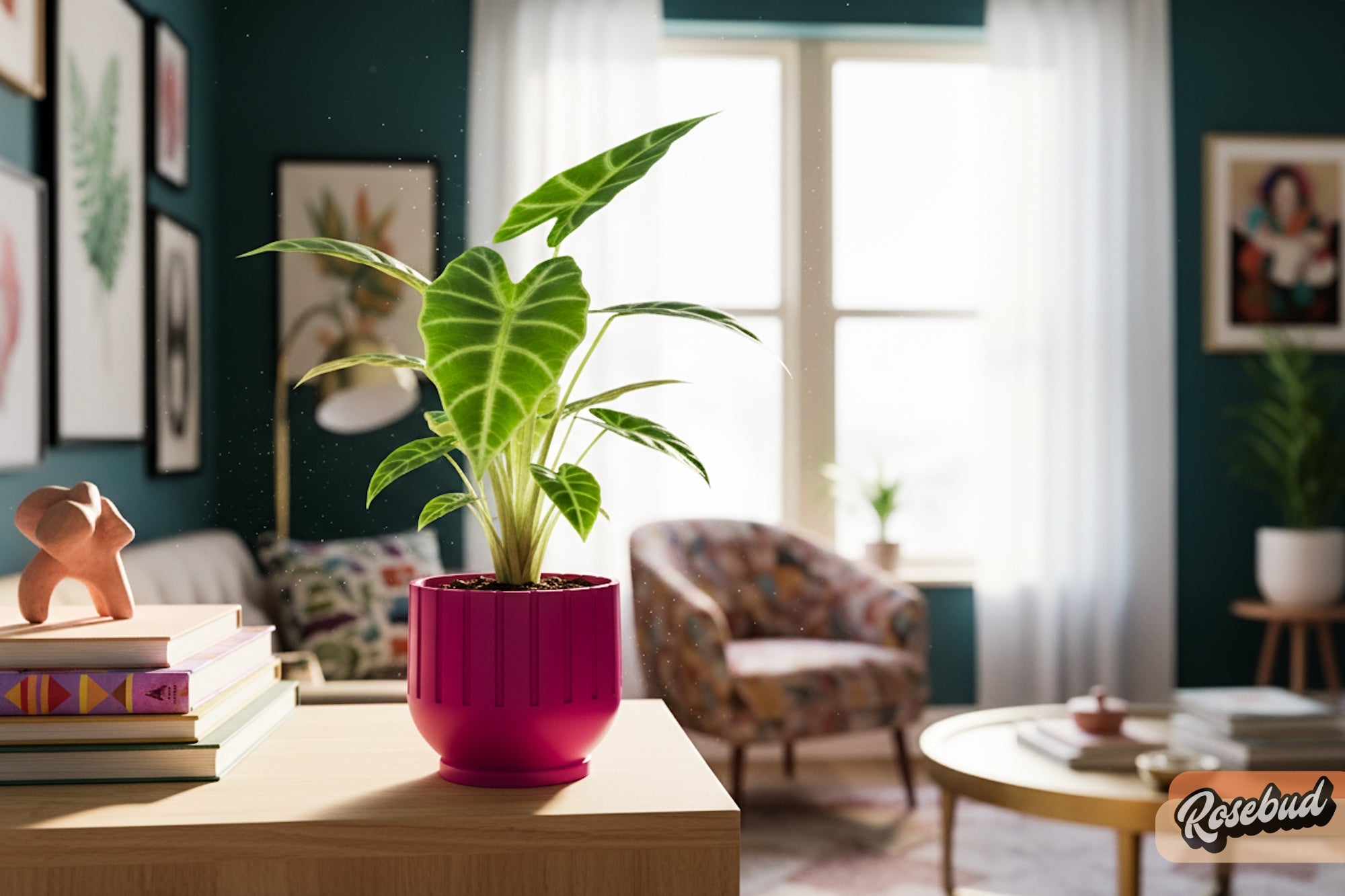 Potted plant on a table in a living room with a couch and coffee table.