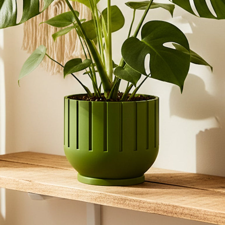 Green potted plant on a wooden surface with a neutral background