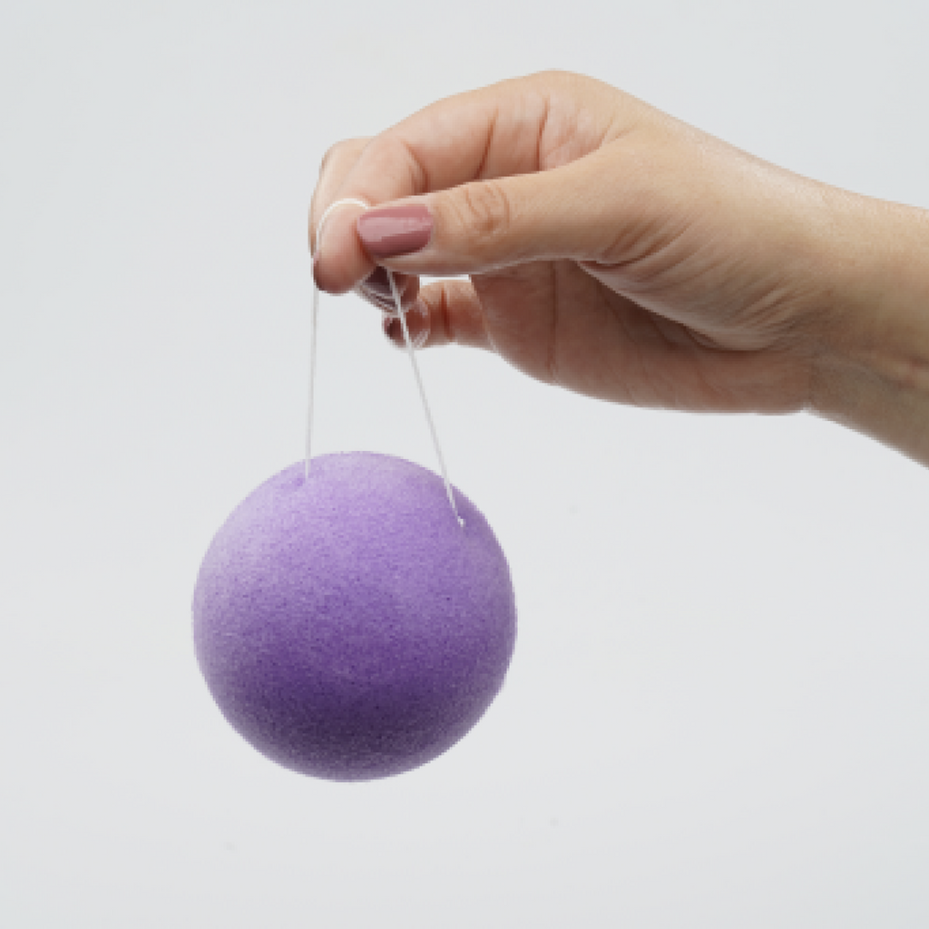 Hand holding a purple Konjac sponge on a white background
