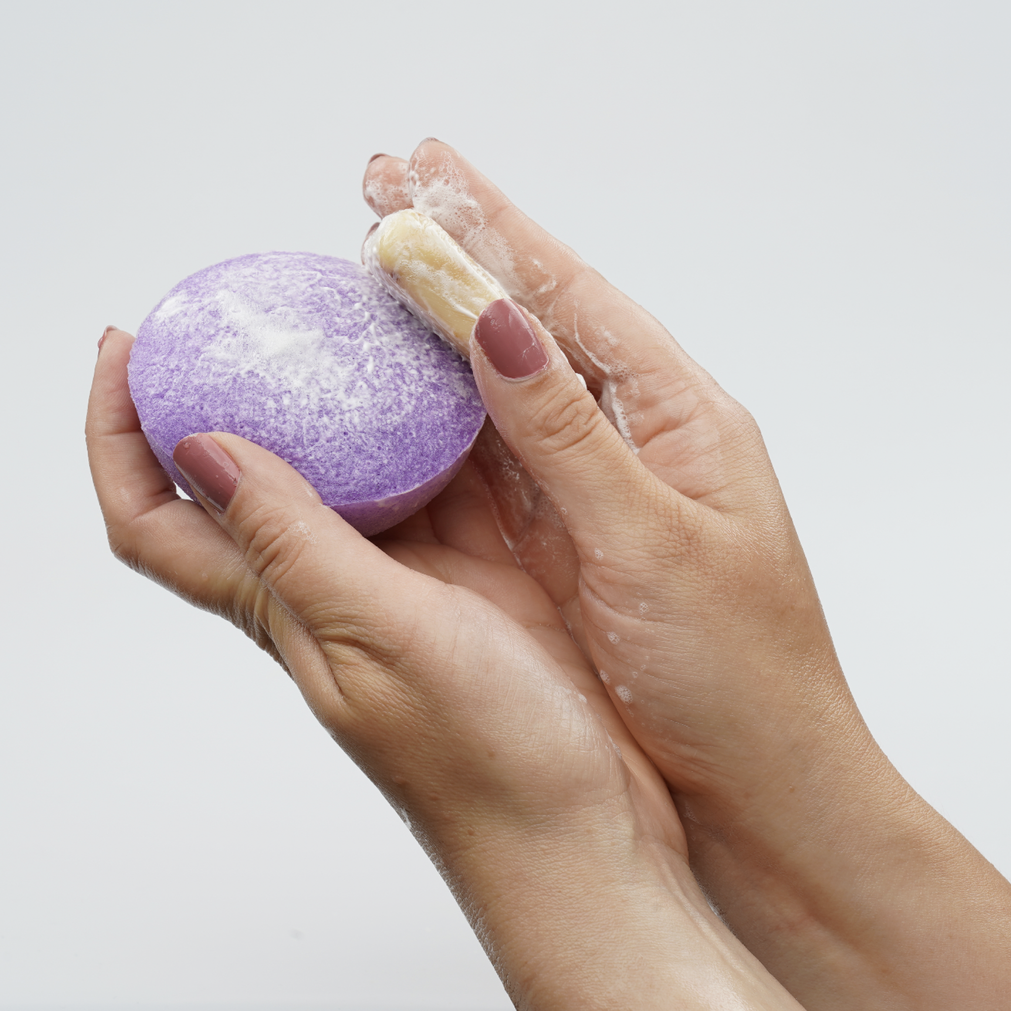 Purple Konjac sponge being held by hands with a white background