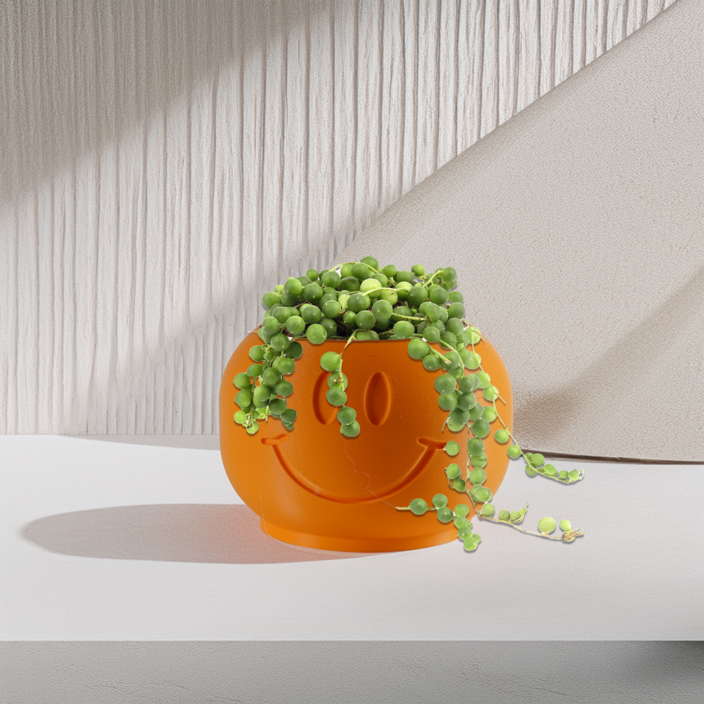 Orange smiley face planter with a green succulent on a neutral background