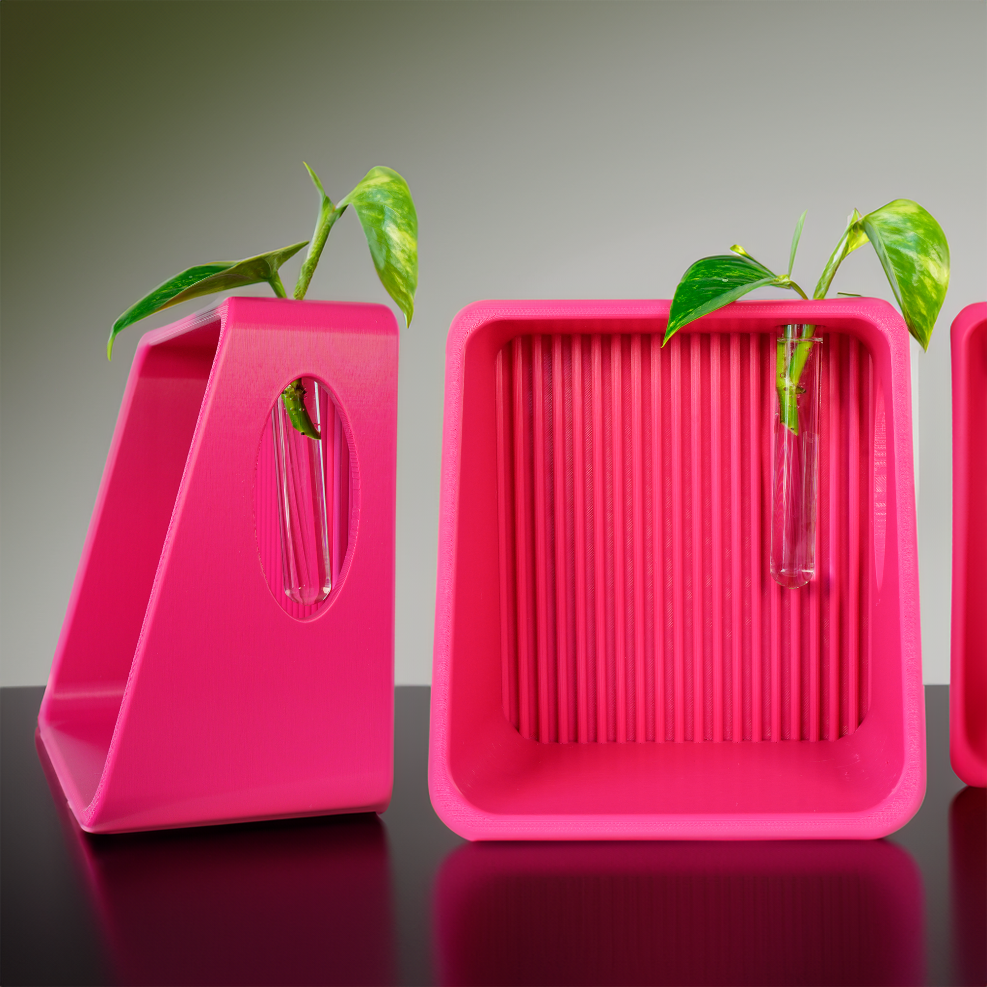 Pink propagation planter with green leaves on a reflective surface.