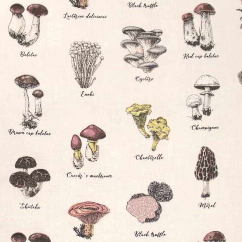 Illustrations of various mushrooms with labels on a beige background