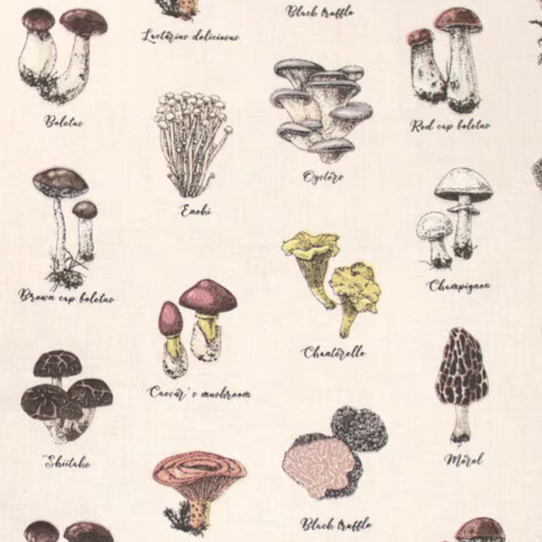 Illustrations of various mushrooms with labels on a beige background