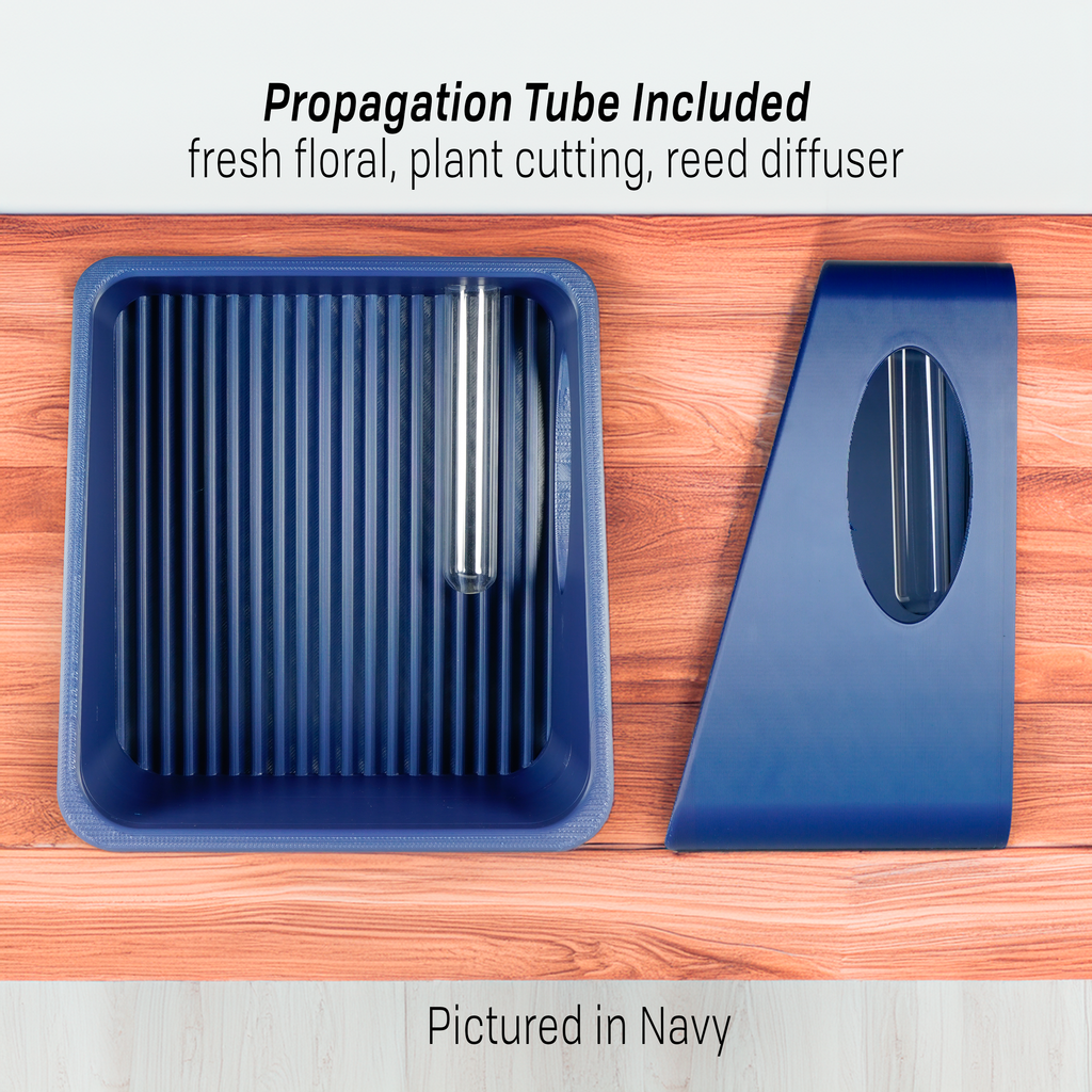 Navy blue propagation planter with tools on a wooden surface