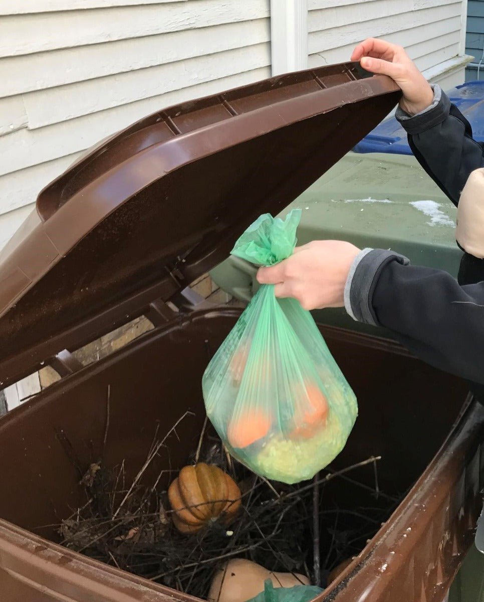 Person placing a green bag with fruits into a yard waste bin