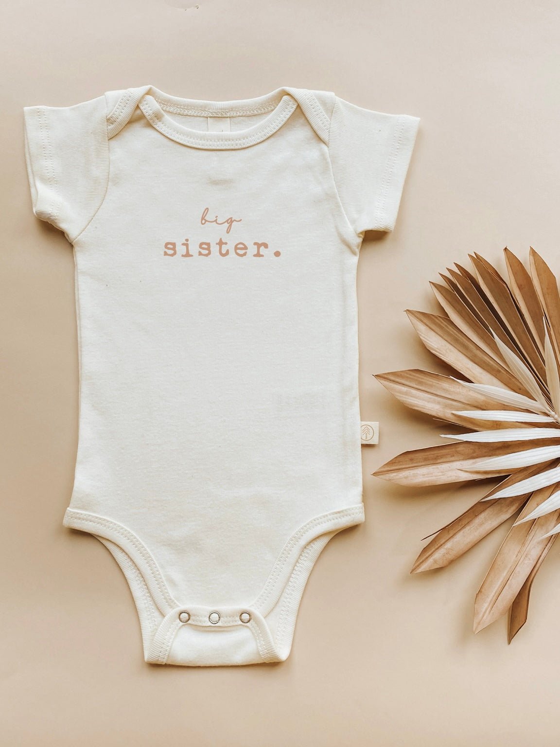 Baby onesie with 'big sister' text on a beige background