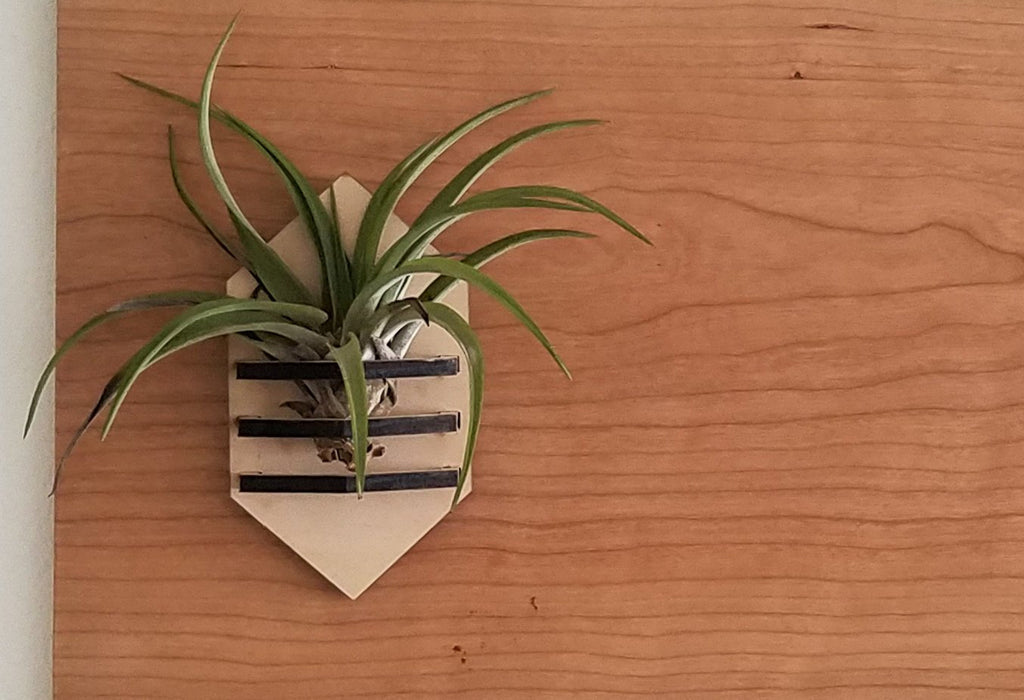 Hanging air plant holder with a striped pattern on a wooden surface
