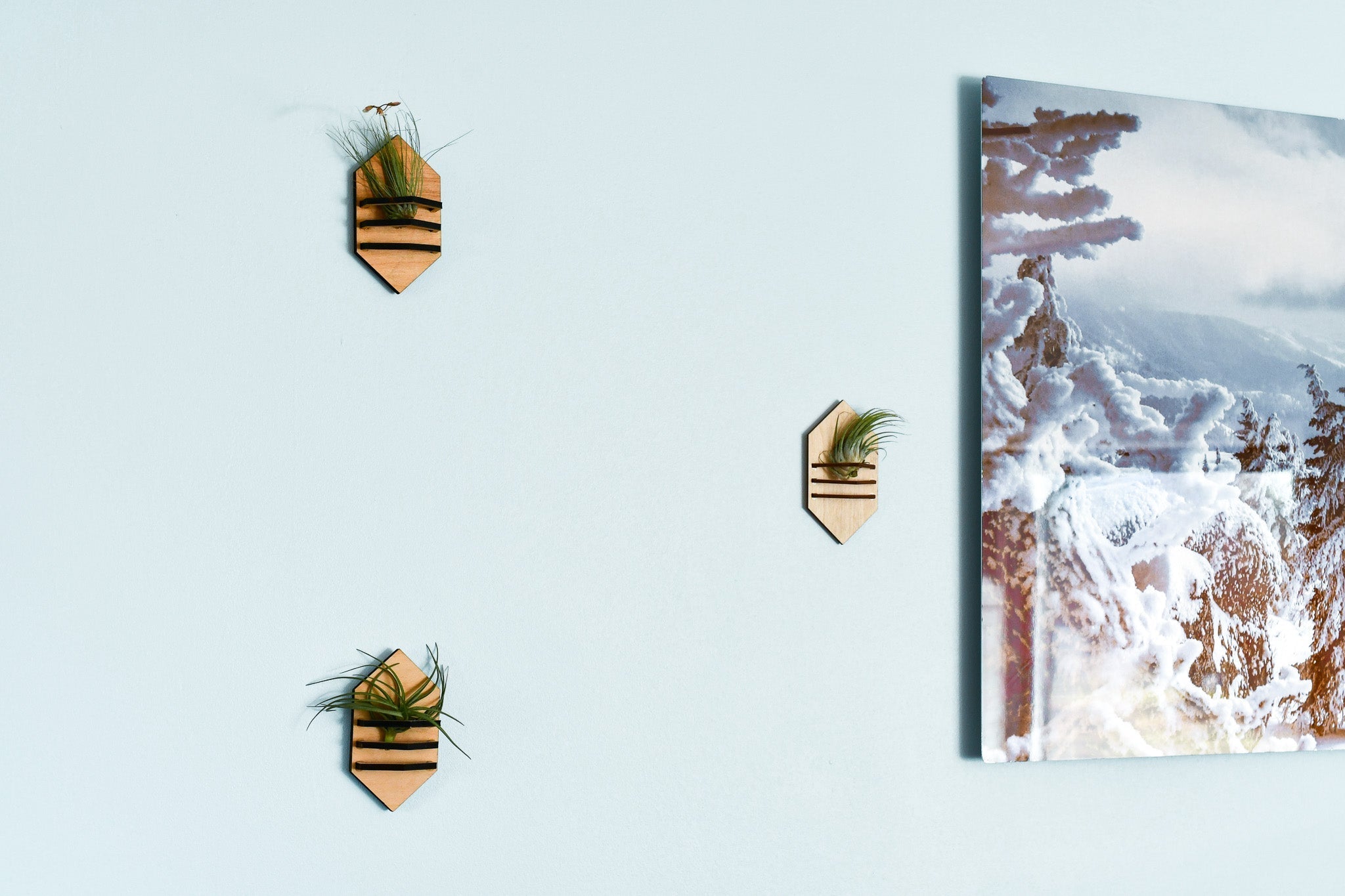 Hexagonal wall art pieces with a mountain landscape on a light blue background
