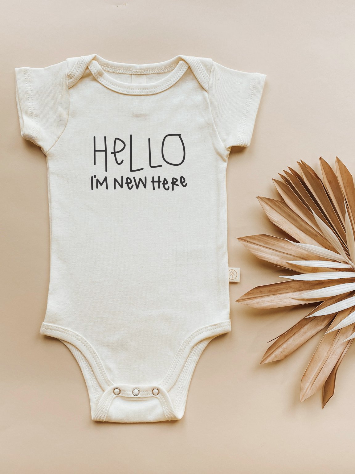 Baby onesie with 'HELLO I'M NEW HERE' text on a beige background with a leaf.