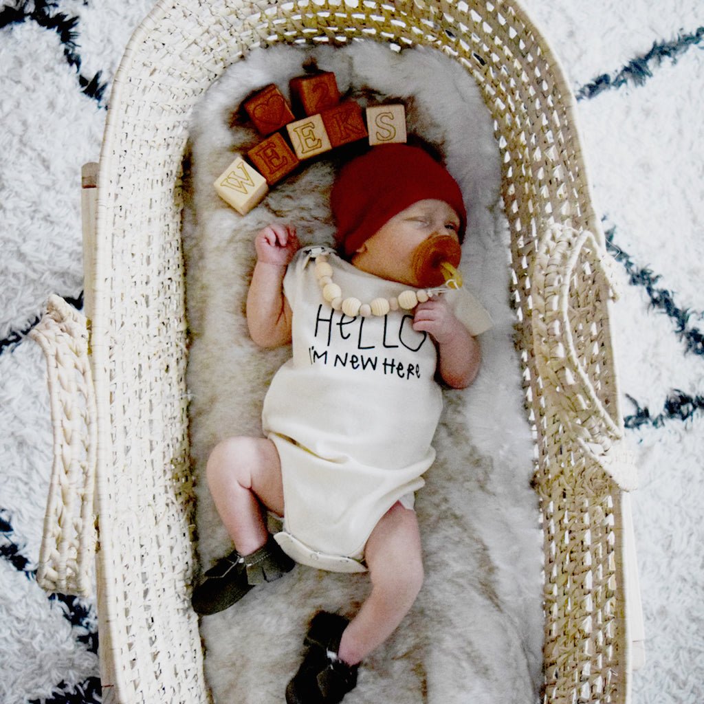 Newborn baby in a Moses basket with wooden blocks and a pacifier
