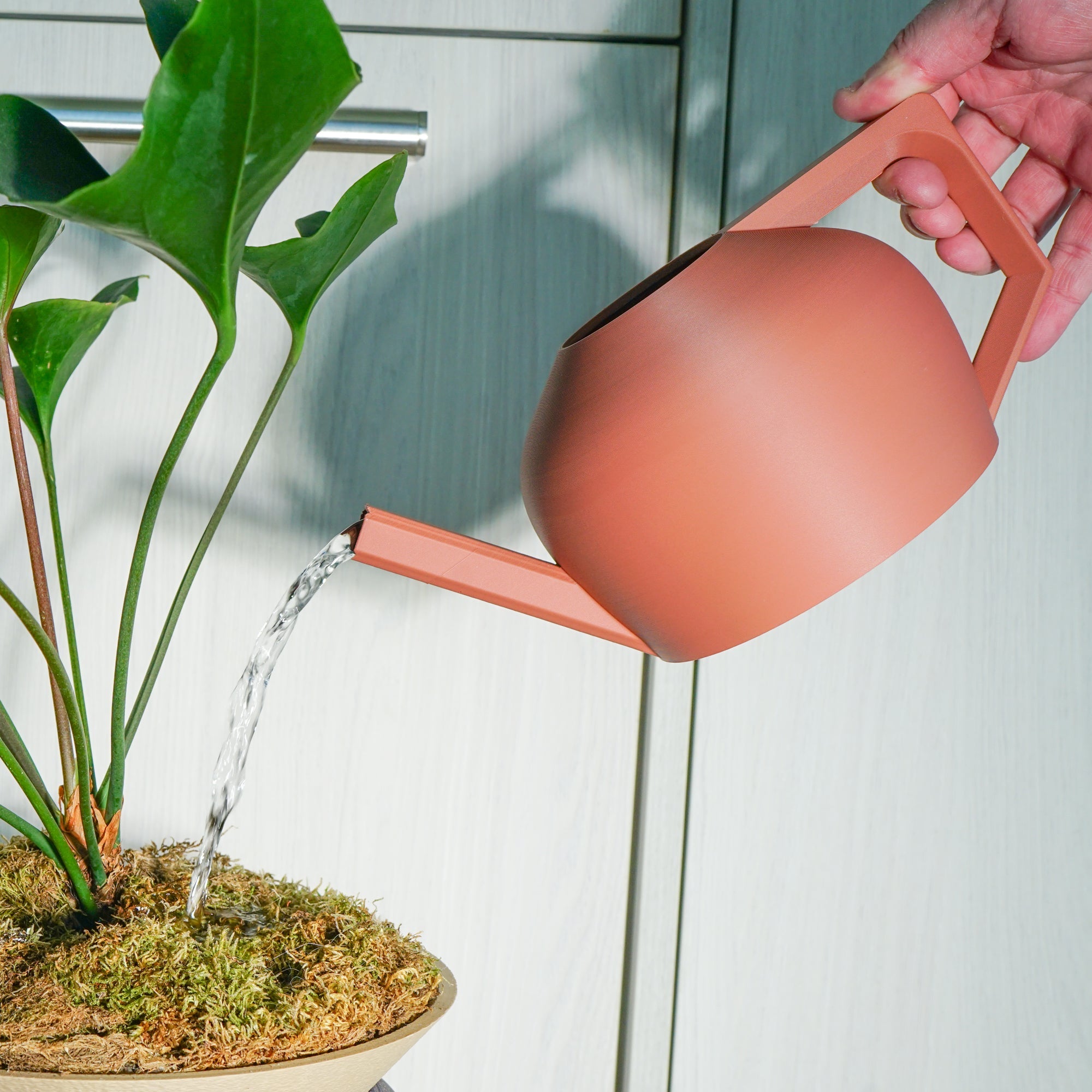 Person watering a plant with a terracotta-colored watering can against a light background