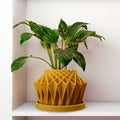 Green potted plant in a unique yellow pot on a white surface with a light gray background