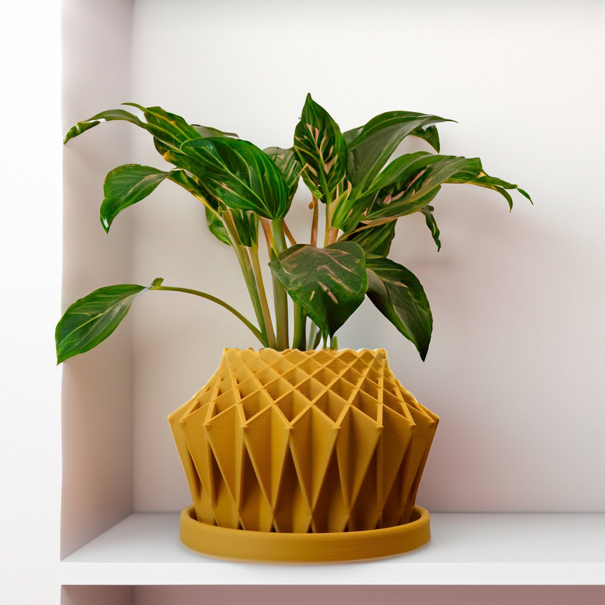 Green potted plant in a unique yellow pot on a white surface with a light gray background