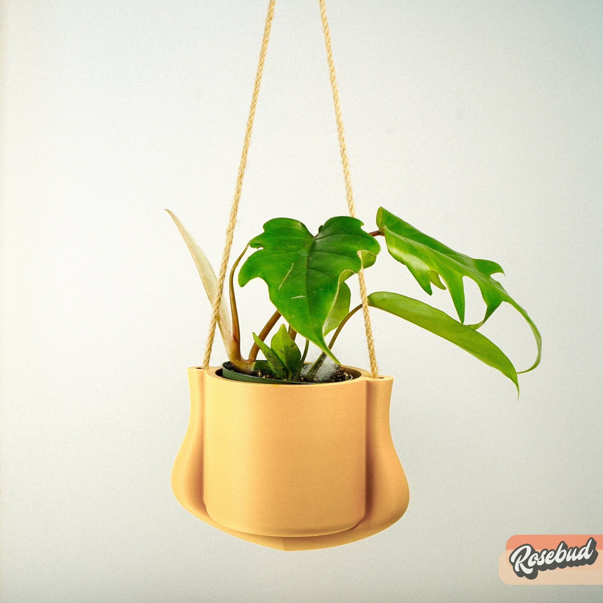 Hanging plant in a yellow pot with a plain background