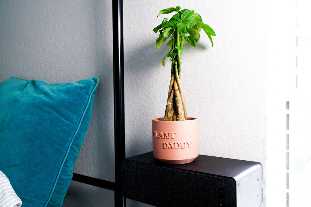 Pink potted plant on a nightstand next to a blue pillow