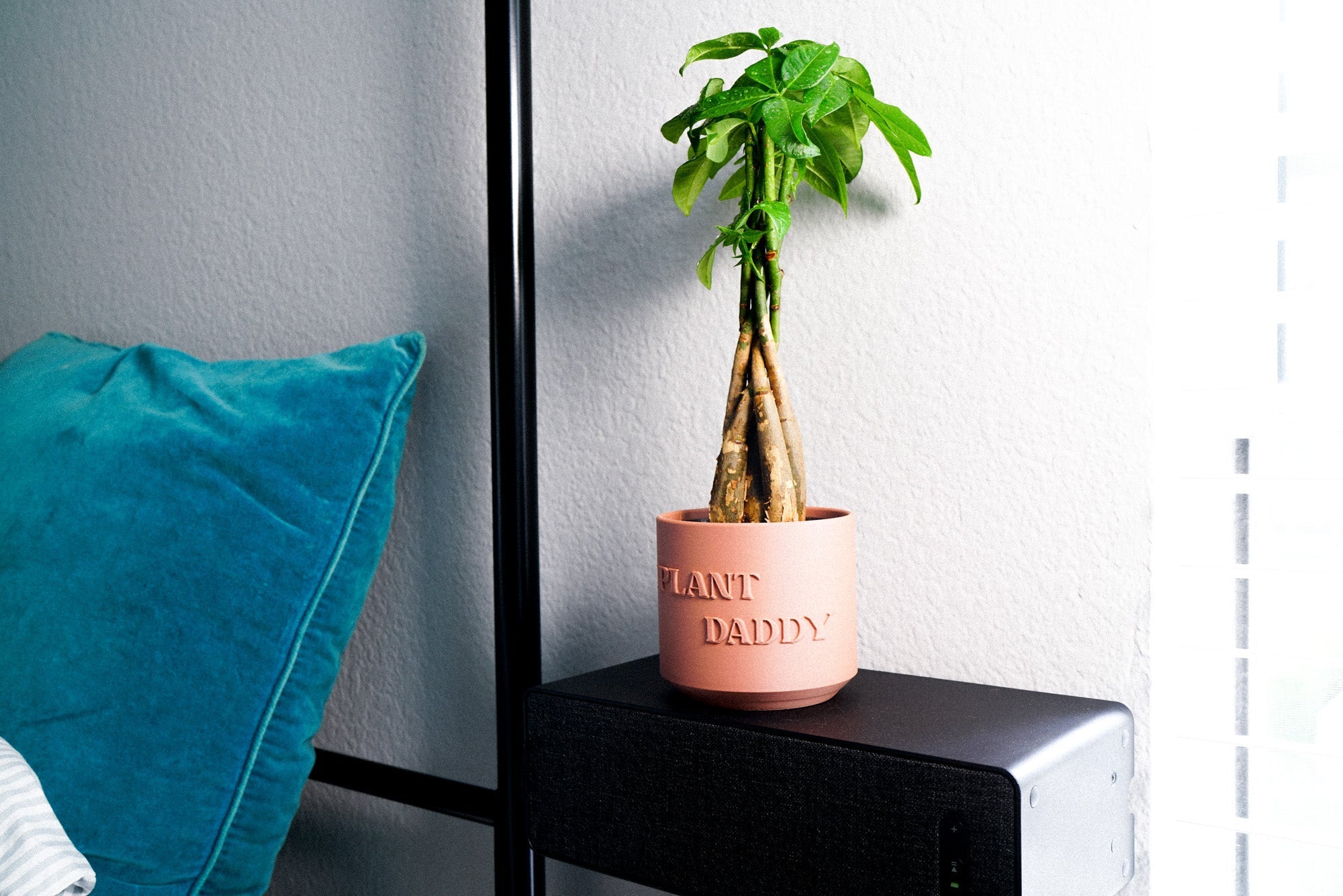 Pink potted plant on a nightstand next to a blue pillow