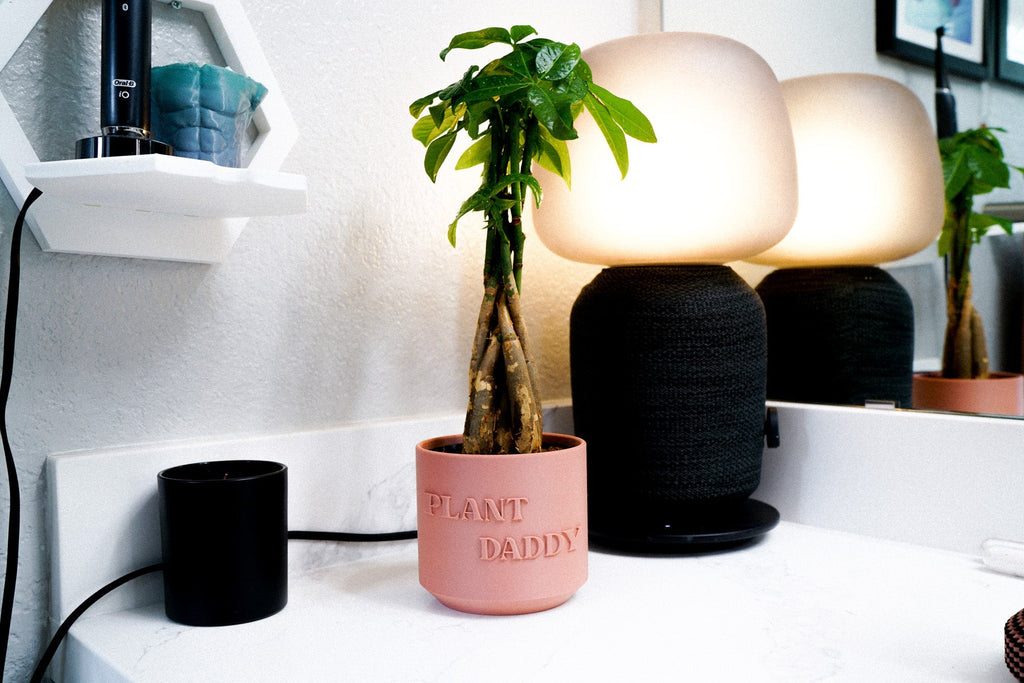 Black textured lamp and pink 'Plant Daddy' pot with a plant on a white surface.