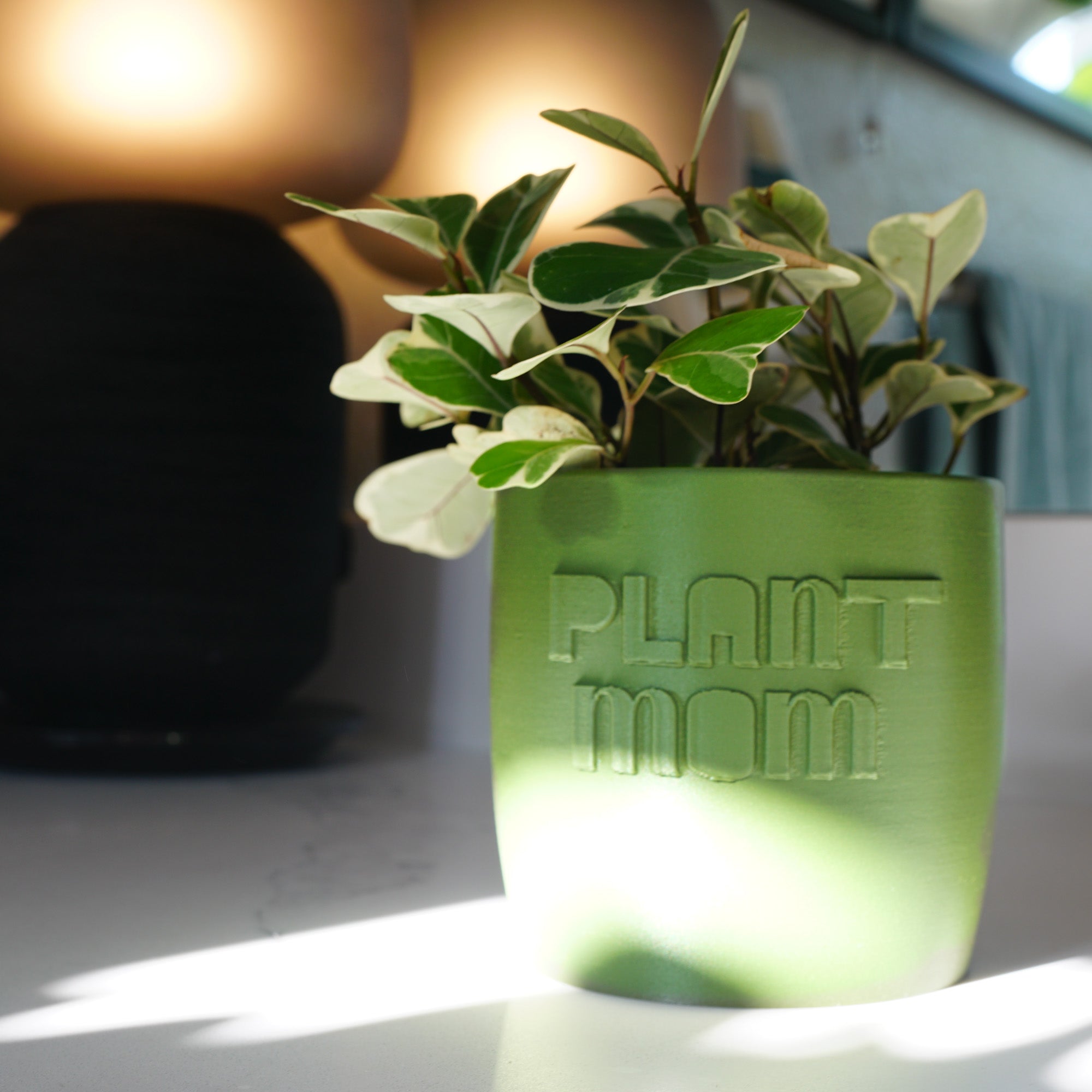 Green pot with a plant and 'Plant Mom' text on it on a blurred background