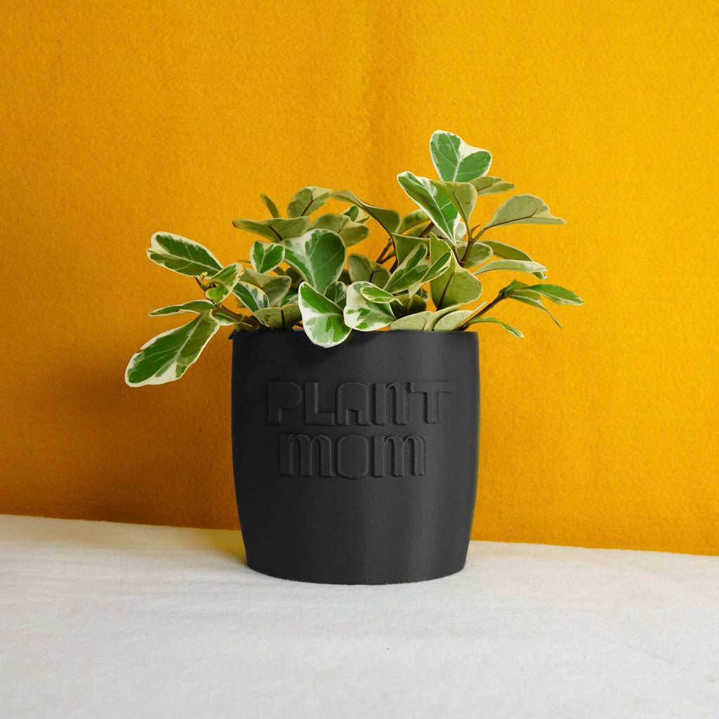 Black pot with a plant and 'Plant Mom' printed on it against a mustard yellow background