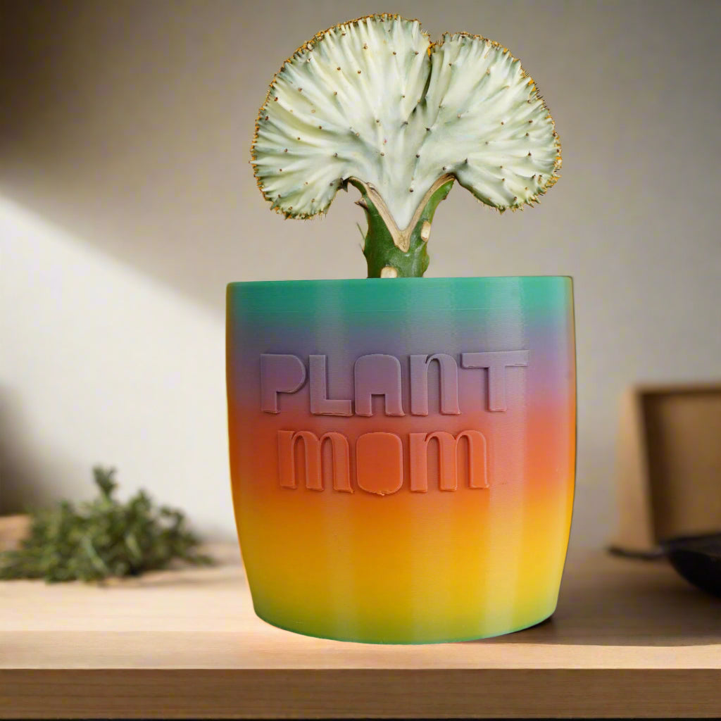 Colorful planter with 'Plant Mom' text on it and a cactus on a wooden surface.