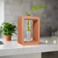 Small terracotta-colored cube shaped vase with a clear vase containing a green leaf on a kitchen counter.