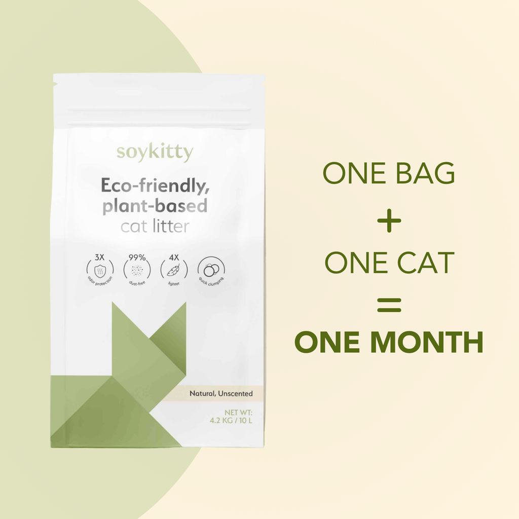 Soykitty eco-friendly plant-based cat litter package on a light green background with text. One bag + One Cat = One month